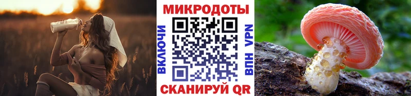 Псилоцибиновые грибы Psilocybine cubensis  Нарткала 