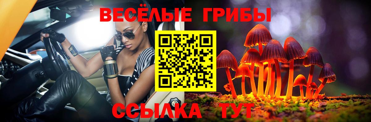 купить наркотики сайты  Псилоцибиновые грибы MAGIC MUSHROOMS  Вход с VPN  Нарткала 